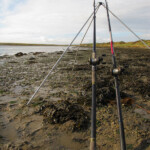 fishing-shore-wexfor-ireland-flounders-0008