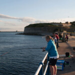 fishing-shore-weymouth-was-juniors-0001