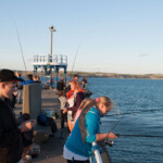 fishing-shore-weymouth-was-juniors-0004