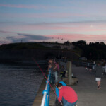 fishing-shore-weymouth-was-juniors-0017