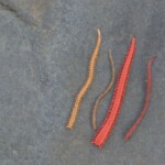 isome-and-gulp-storage-002