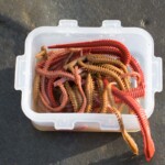 isome-and-gulp-storage-006