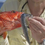 mexico-boat-fishing-025
