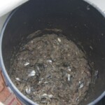 mexico-boat-fishing-034