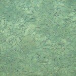 mexico-boat-fishing-047