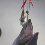 mexico-boat-fishing-051