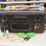 wibac-weymouth-boat-fishing-007