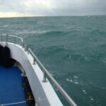 wibac-weymouth-boat-fishing-011