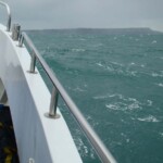 wibac-weymouth-boat-fishing-017