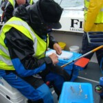 wibac-weymouth-boat-fishing-023