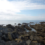 04-rock-marks-for-bass-in-devon