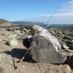 06-walking-along-the-south-devon-coastline