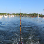 new-hampshire-haddock-fishing-06152017-008