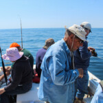 new-hampshire-haddock-fishing-06152017-009