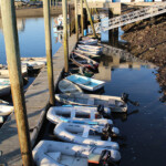 new-hampshire-haddock-fishing-06152017-018