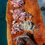 yellowtail-snapper-bucket-list-07092017-003