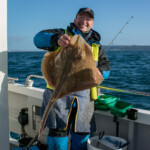 wibac-2017-weymouth-002