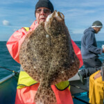 wibac-2017-weymouth-005c