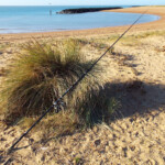 vega-masami-surf-04-00013