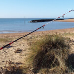 vega-masami-surf-05-00015