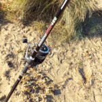 vega-masami-surf-05-00016