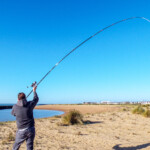 vega-masami-surf-19-00012