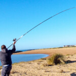 vega-masami-surf-55-00011