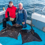 06-oban-skate-3b
