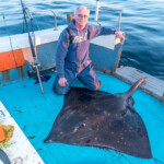 10-oban-skate-25