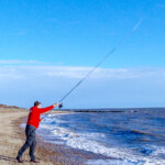 Tronixpro-Injection-GT-reviewed-011