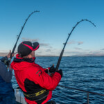 oban-skate-12