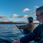oban-skate-15