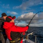 oban-skate-2