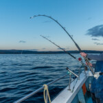 oban-skate-23