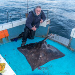 oban-skate-28