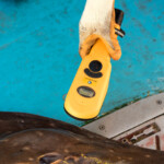 oban-skate-2b