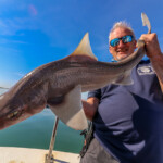 feature-my-way-2-holyhead-2018-003