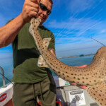 feature-my-way-2-holyhead-2018-004