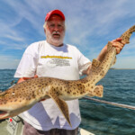 feature-my-way-2-holyhead-2018-006