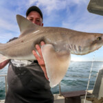 feature-my-way-2-holyhead-2018-010