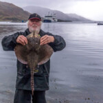 feature-ardgour-beach-0008