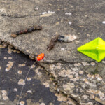 feature-scrabster-lighthouse-ledges-008