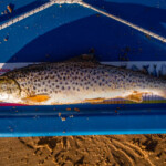 feature-embo-beach-0003