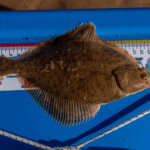 feature-embo-beach-0004