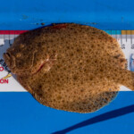 feature-embo-beach-0005