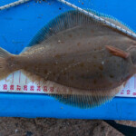 feature-sandside-beach-0001