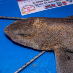 feature-sandside-beach-0004