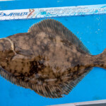 feature-sandside-beach-0006