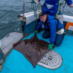 news-oban-skate-2019-0001