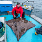 news-oban-skate-2019-0003